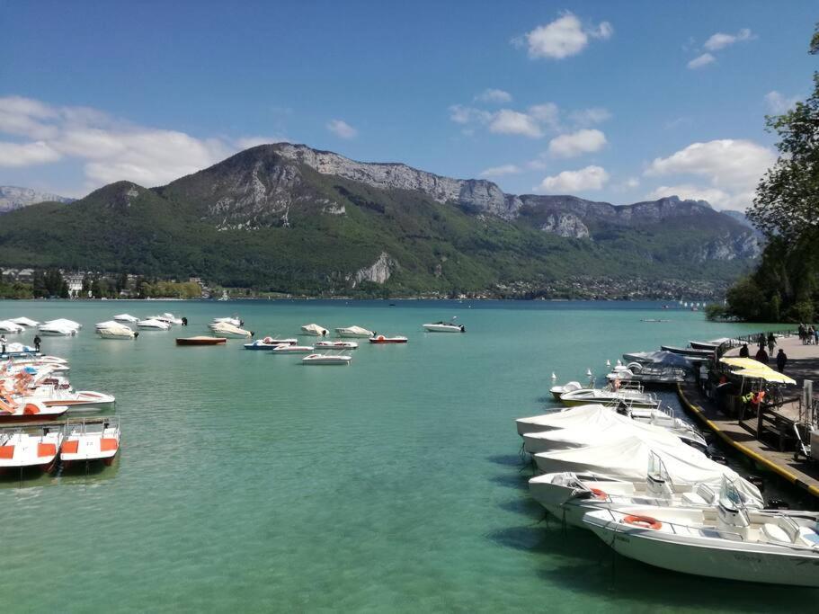 Cabana & Le Central - Proche Lac , Terrasse Et Parking Annecy Exterior photo